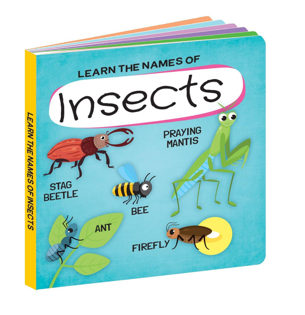 World of Insects 3D Puzzle and Book Set - 40 Piece | Sassi - STEAM Kids Brisbane