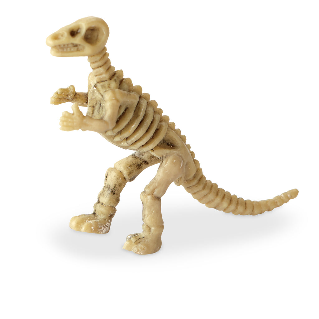 Dig It Up! Dinosaur Skeletons Single Clay Egg - STEAM Kids Brisbane