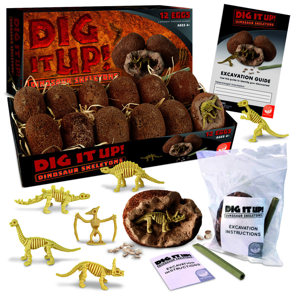 Dig It Up! Dinosaur Skeletons Single Clay Egg - STEAM Kids Brisbane