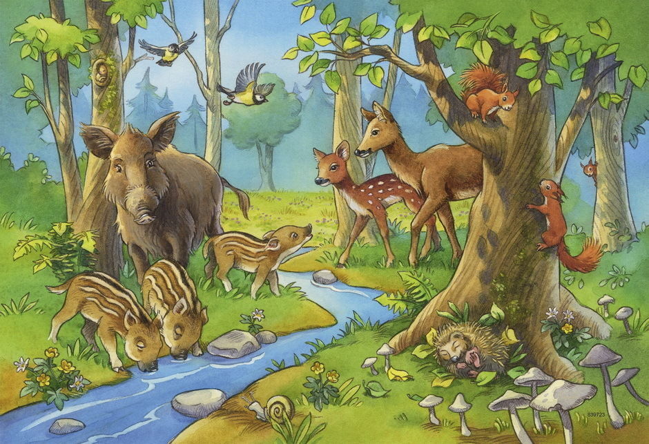 Ravensburger 2 x 24 Piece Puzzle | Cute Forest Animals - STEAM Kids Brisbane