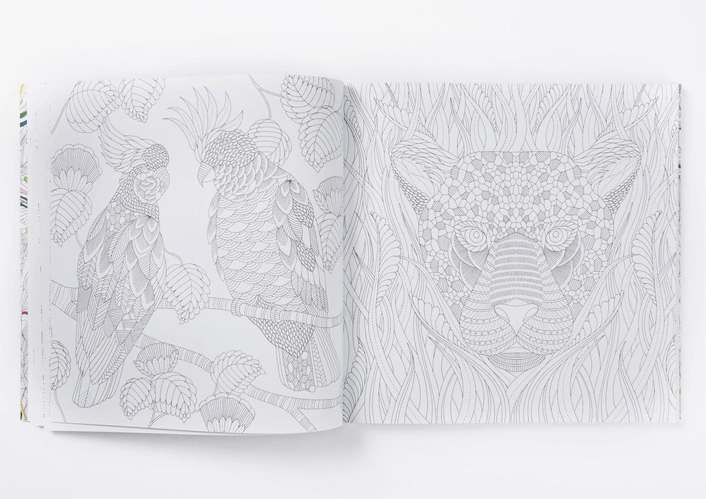 Millie Marotta's Tropical Wonderland: A Colouring Book Adventure - STEAM Kids Brisbane