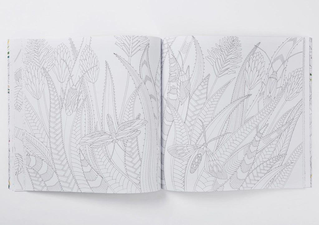 Millie Marotta's Tropical Wonderland: A Colouring Book Adventure - STEAM Kids Brisbane