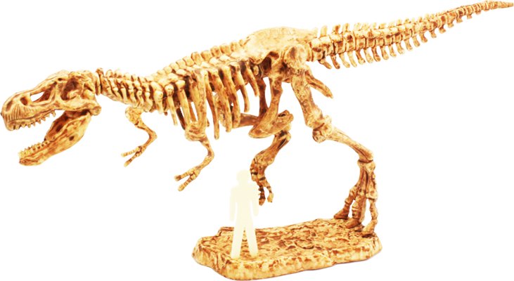 Discover Science / T-Rex Excavation Kit - STEAM Kids 