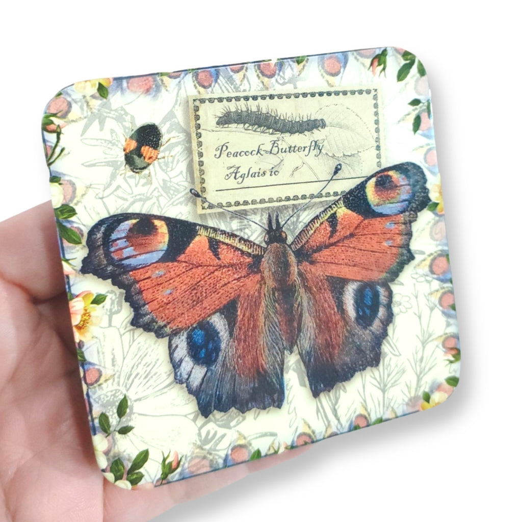 Vintage Butterfly Small Square Gift Tin - Peacock Butterfly - STEAM Kids Brisbane