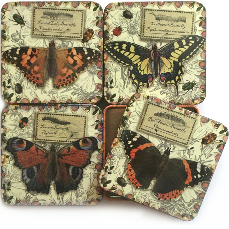 Vintage Butterfly Small Square Gift Tin - Peacock Butterfly - STEAM Kids Brisbane