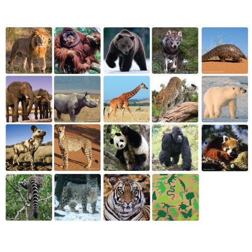 WWF Memory Matching Game - Mammals | STEAM Kids